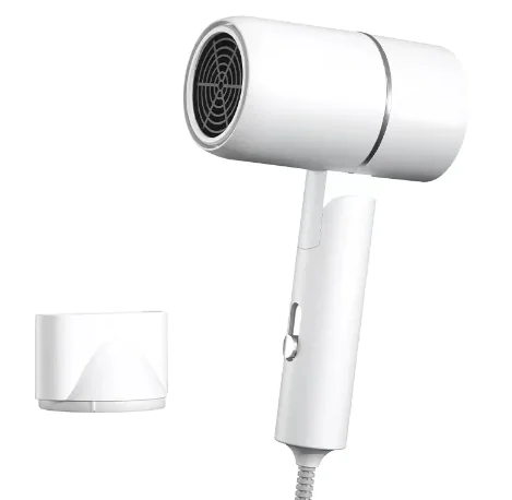 Compact Anion Hair Dryer